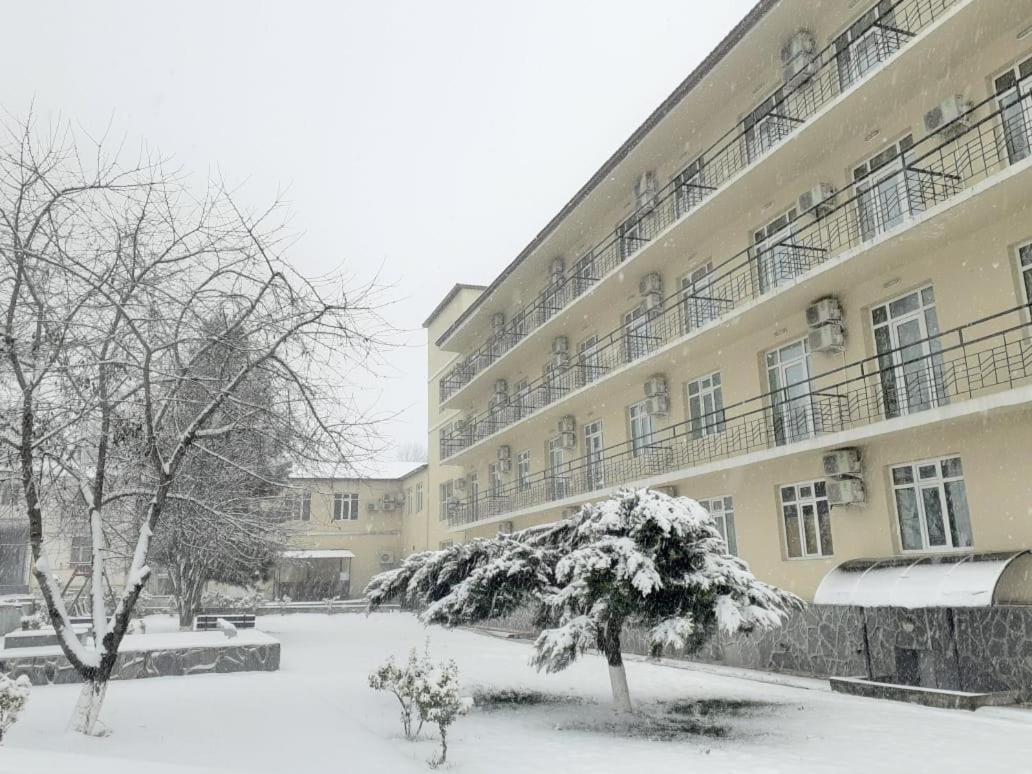 Gabala Hotel Dasca Buitenkant foto